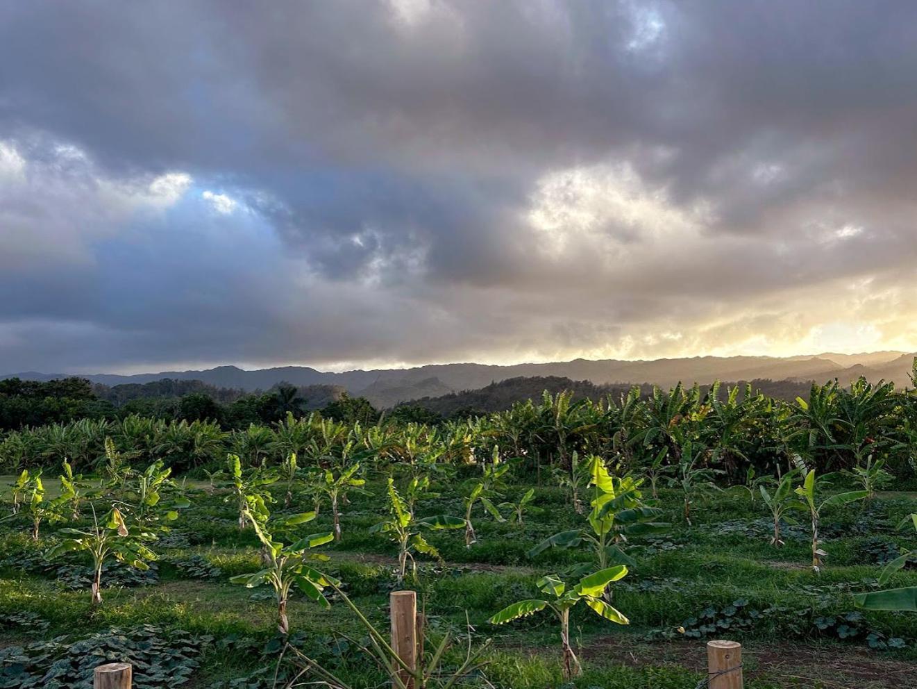 North Shore Glamping Camping Laie, Oahu, Hawaii Exterior photo