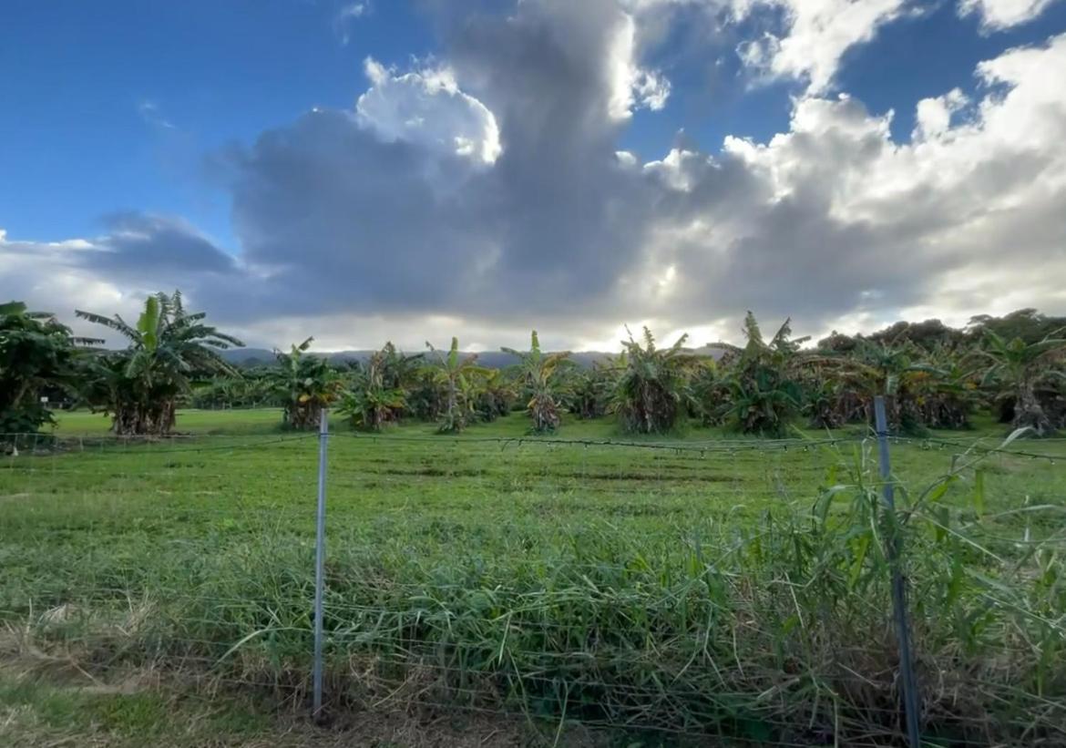 North Shore Glamping Camping Laie, Oahu, Hawaii Exterior photo